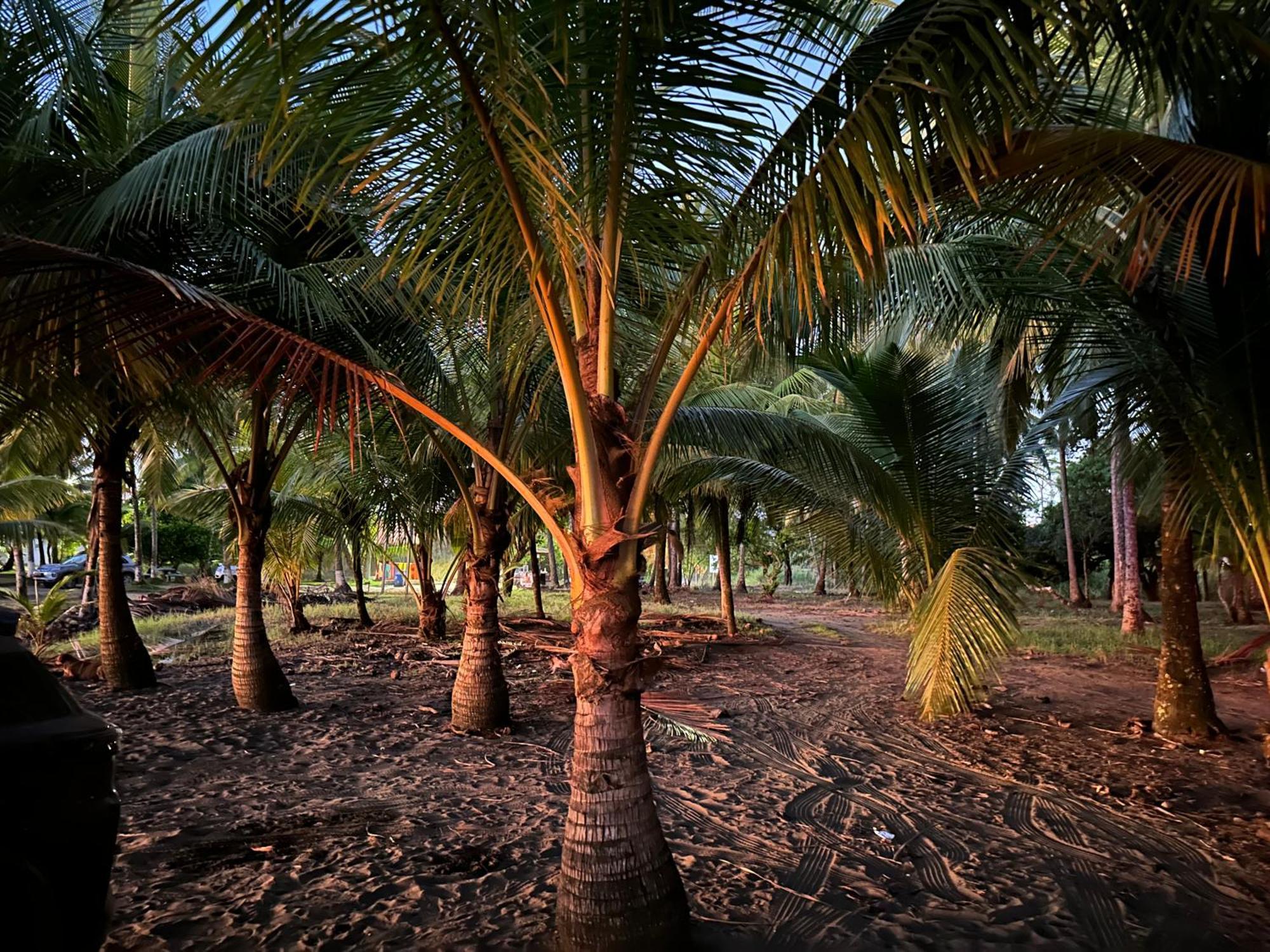 Casa Paraiso Tropical Parrita Esterno foto